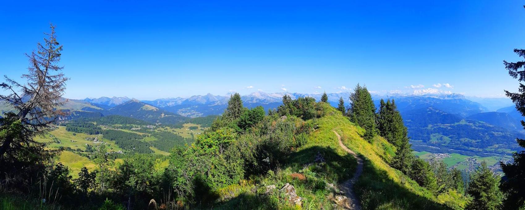 Le Taconet Hotel Le Praz de Lys Bagian luar foto